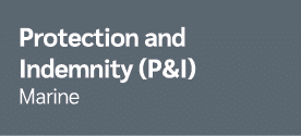 Protection and Indemnity (P&I) Marine