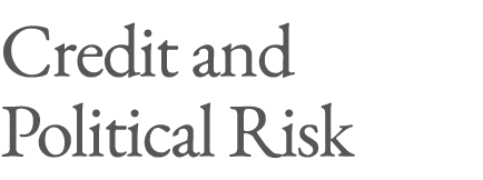 Credit and Political Risk 
