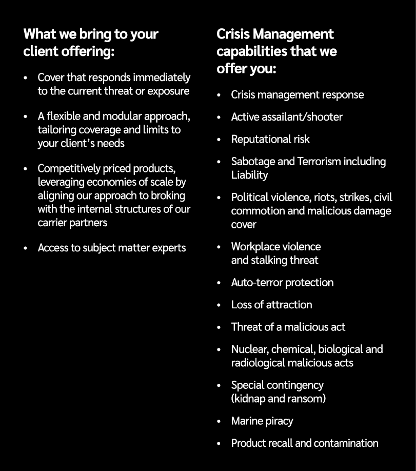 What we bring to your client offering: • Cover that responds immediately to the current threat or exposure • A flexib...