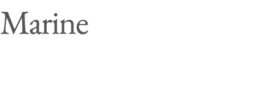 Marine 